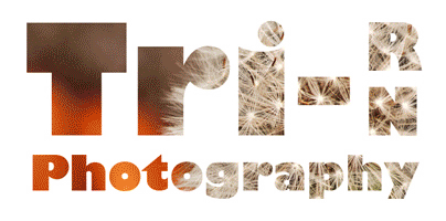 © Tri-RN Photography; Portrait, Event, Commercial, Wedding Photographer in South Manchester
